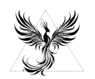 Cover-Up & Correction